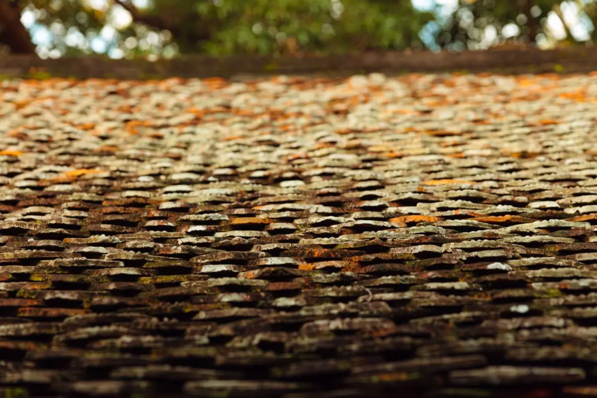 Aging shingle roof with moss growth and granule loss in Ogden, UT